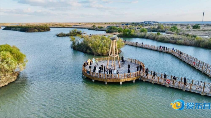 直接推动了 直接推动了