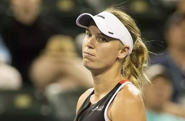 技术和冷静 技术和冷静