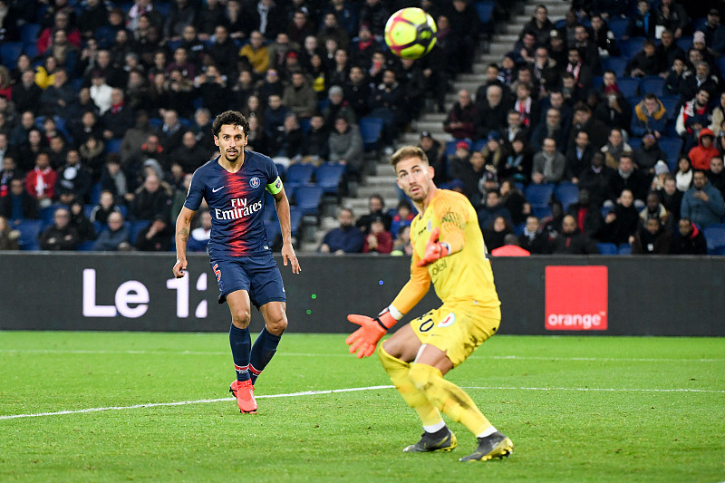 具备组织与 具备组织与